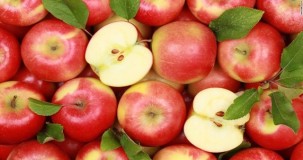 Bir Elma Kaç Kalori Besin Değeri Nedir?