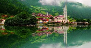 Trabzon kodu ne?
