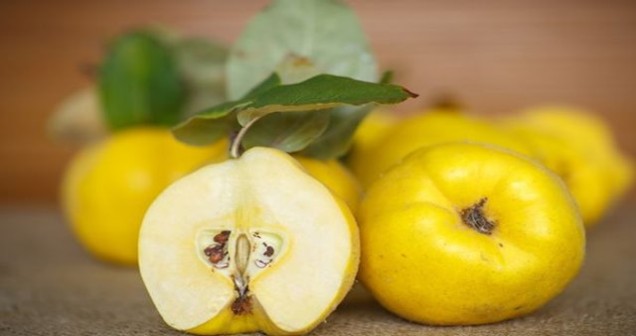 Kuru ve Yağlı Ciltler İçin Ayva Çekirdeği Maskesi Tarifi, Nasıl Yapılır?
